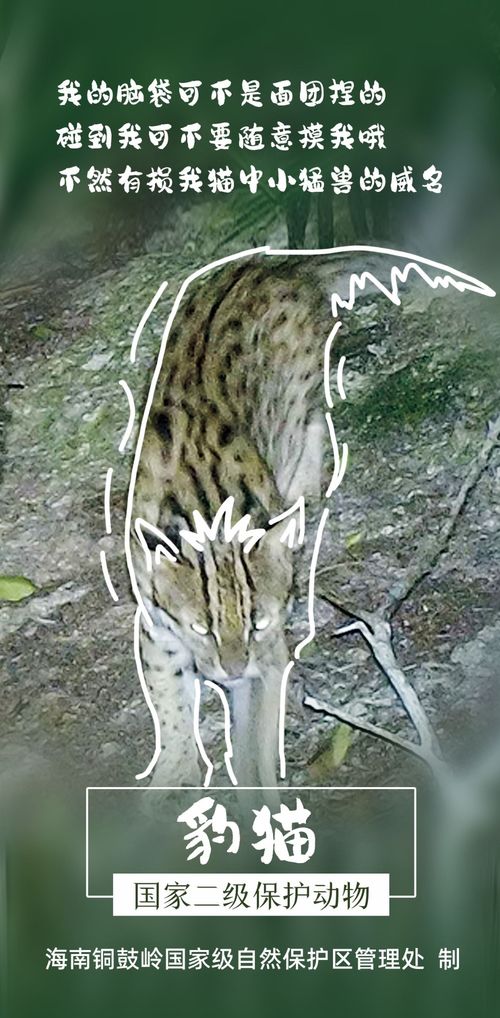 國際生物多樣性日聚焦銅鼓嶺 國家二級保護動植物的醫(yī)藥技術(shù)開發(fā)潛力