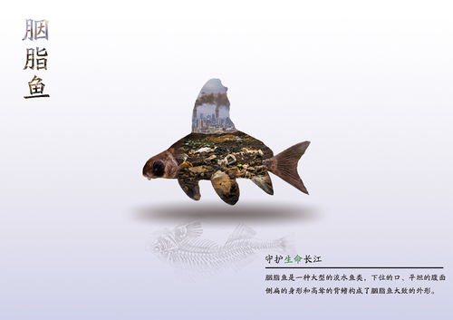 醫(yī)藥創(chuàng)新攜手長江文化 守護(hù)水生生物公益海報(bào)設(shè)計(jì)大賽